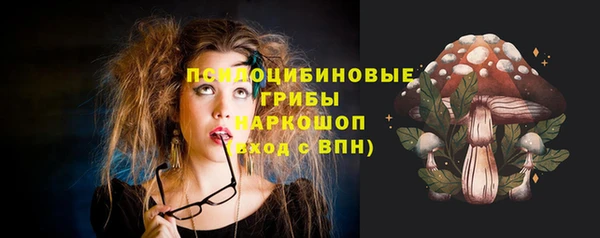 гидра Нязепетровск