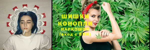 гидра Нязепетровск