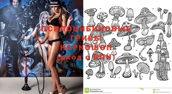 твердый Нягань