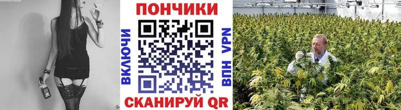 Бошки Шишки SATIVA & INDICA Ахтубинск